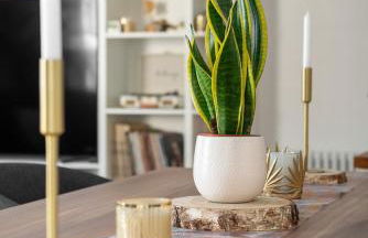 Appartement d'exception en plein coeur de Caen - Photo 6