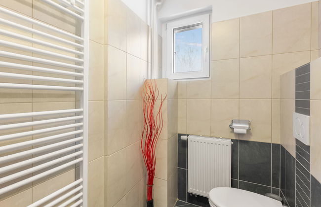 Desná v Jizerských horách - Foto 25