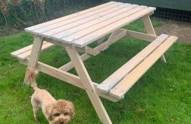 Walland Cottage Romney Retreat - Photo 30