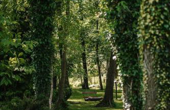 KUKUŁKA Nad Rzeczką - Foto 10