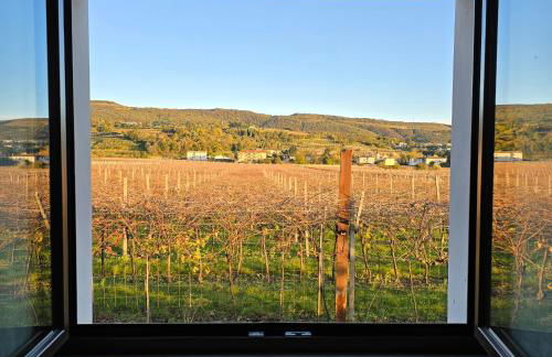 Agriturismo Igino - Relax fra i Vigneti della Valpolicella - Foto 48