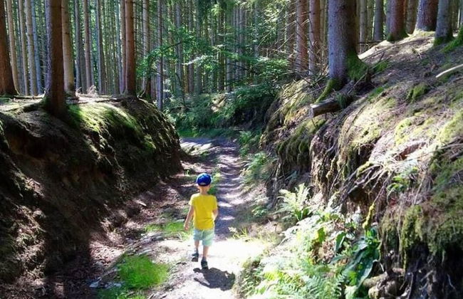 Holiday Home With Garden - Foto 50