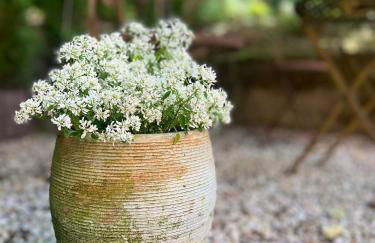 Maison Lily Apartment 1 - Foto 19