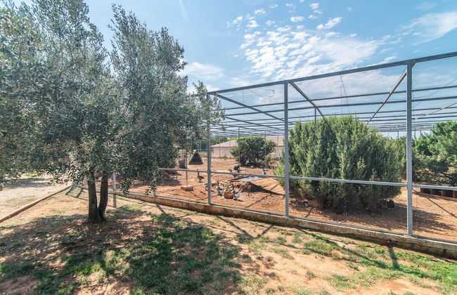 Luxury Villa With Pool and sea View - Foto 21