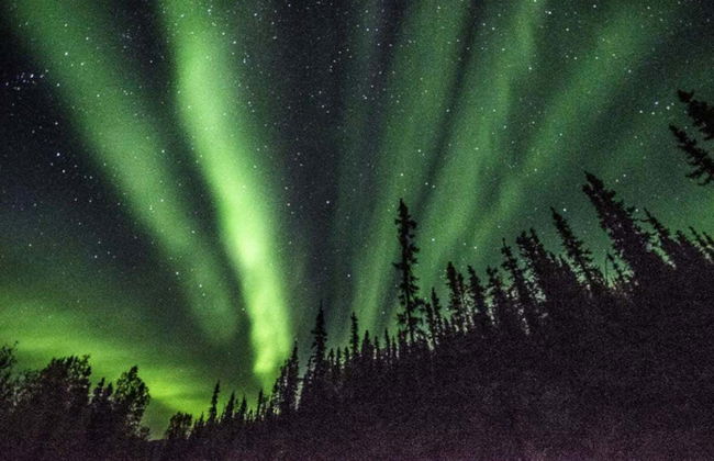 Tour dell'aurora boreale e attraversamento del Circolo Polare Artico - Foto 4