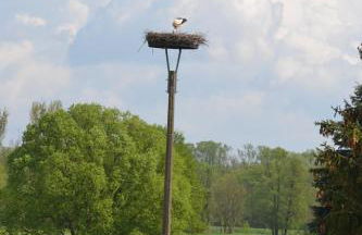 Adebarsoase - Foto 39