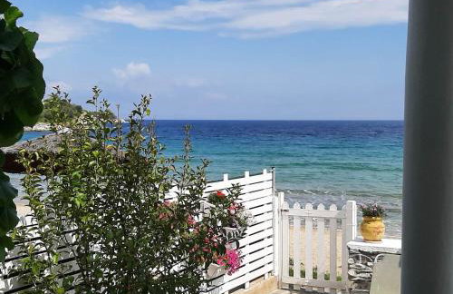 House Kokkalas on the beach - Photo 22