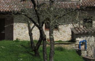 Il Vignale - Foto 15