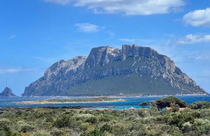 Wanna's Apartment Olbia - Foto 21