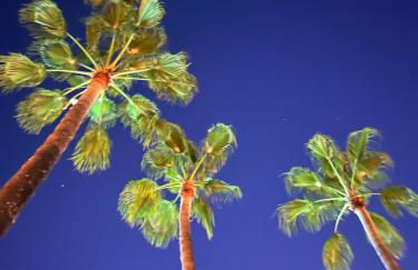 Le Papillon Maitiss - Foto 14