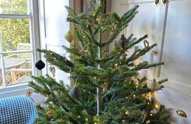 Lovely Cottage beside Surf Beaches & Bude Canal - Foto 41