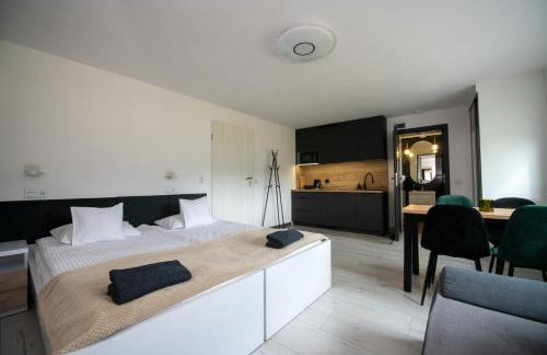 SKALNY apartamenty, pokoje - Foto 77