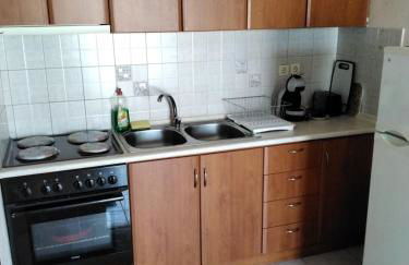 Papi's Free Parking Apartments 1 - 1 Bedroom - Foto 6