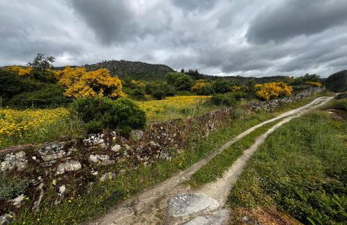 Casa da Regadinha - Foto 32