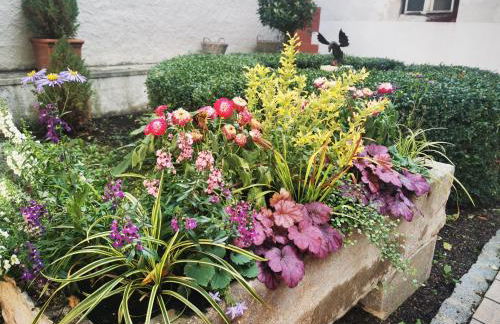 RefuKium alte Kutscherei - Im Zentrum von Weißenburg - Foto 13