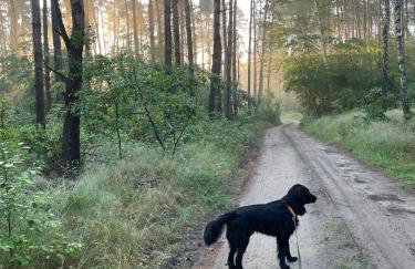 Sercem i Kopytem - Foto 18