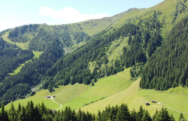 Simonhütte - Foto 33