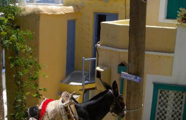 Traditional Medieval Stone house in "Ano Syros" - Foto 35