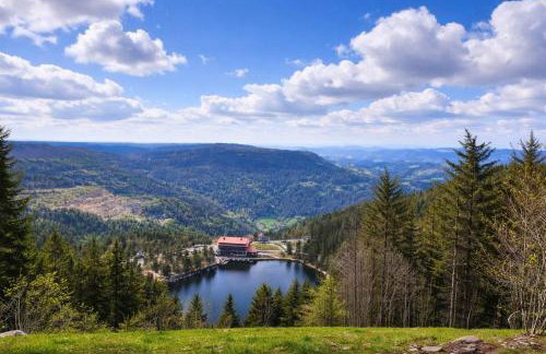 Ferienwohnung Tannenballett mit Panorama über den Schwarzwald in Baiersbronn - Foto 24