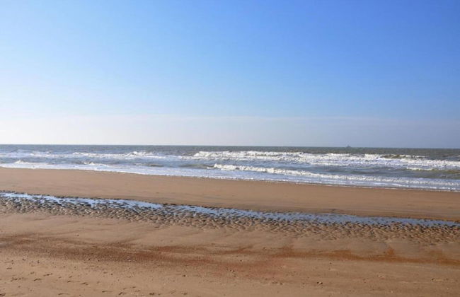 Apartment in Ostend Near North Sea - Foto 29