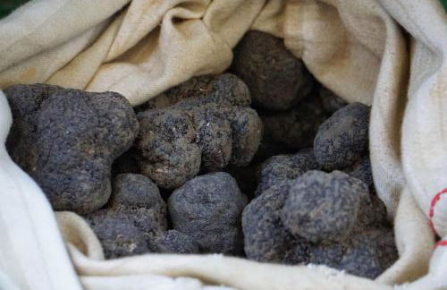 appartement. 2 à 4 pers. lit Queen-size. Au calme. - Foto 20