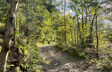 Domek w Skrudzinie - Foto 14