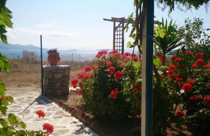 Anatoli Studios - Foto 50