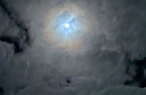 Pia's Nature Retreat - Foto 114