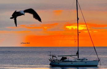 Sea Living Sicilia Apartment - Foto 30