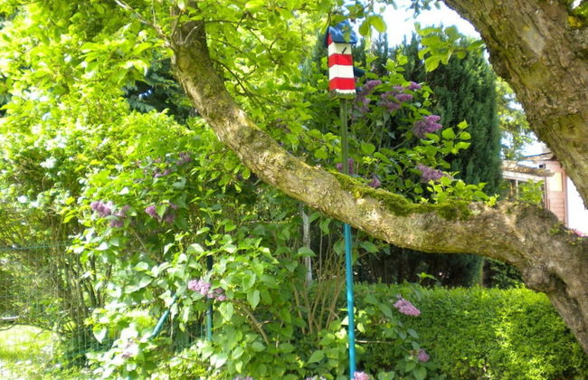 Strandnelke Modern Retreat - Foto 10