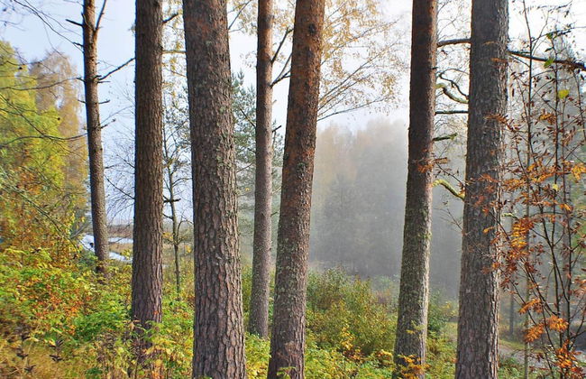 5 Person Holiday Home in Arvika-by Traum - Foto 15