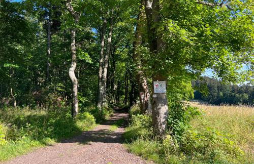 Apartament Empujon Sokołowsko - Foto 41