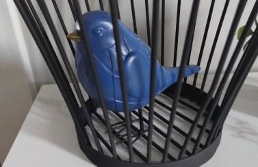 The Bluebird Guesthouse *walk to downtown* - Photo 16