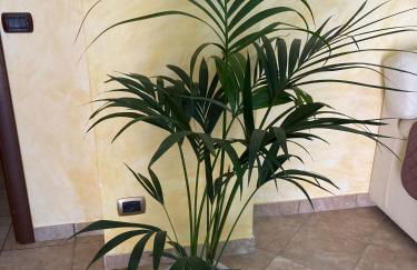 Open Sweet House - Foto 8