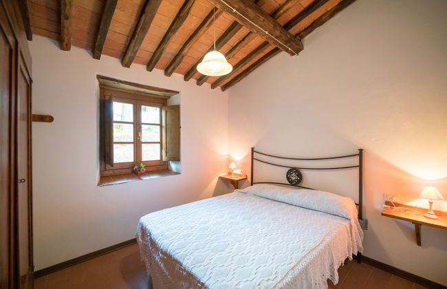 Fattoria di Cintoia - Photo 19