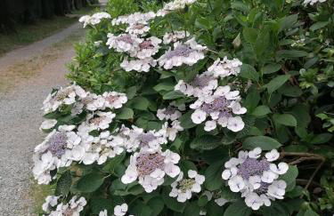 LAVANDA appartamento - Foto 13