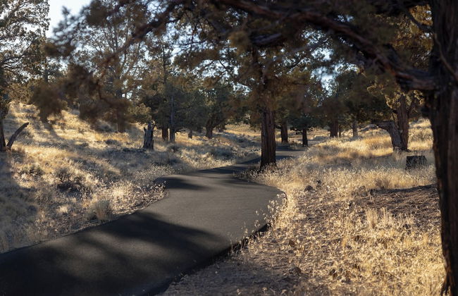 Elevated Escape Eagle Crest - Foto 27