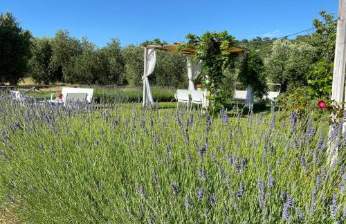 Tenuta Le Mandorlaie, Agriturismo in Scansano - Foto 18