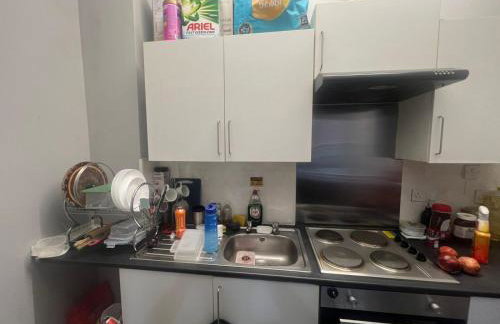 Ashton Apartment - Photo 10