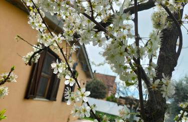 Casale del sole - Photo 32