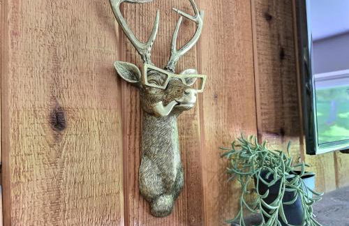 The Grizz AC Pool Sauna Gym Near Resort - Photo 28