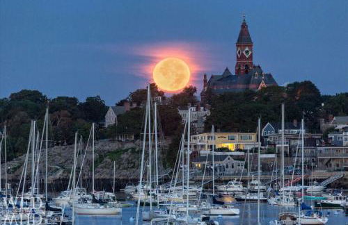 Village Retreat - Foto 16