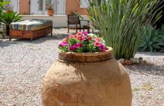 Villa Marina Sant'Elia - Foto 3