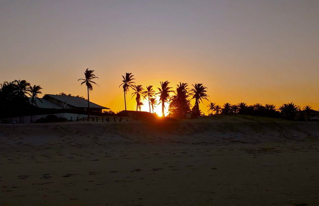 Atlantic Palace Family inn - Foto 66