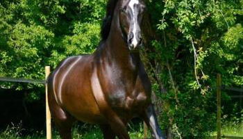 Domaine de Valmeray Gîte - Foto 2