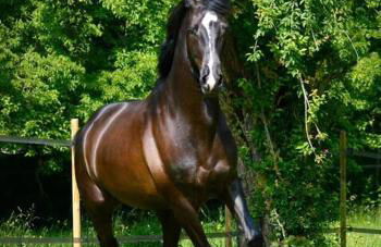 Domaine de Valmeray Gîte - Foto 2