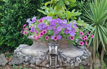 Palm Grove Apartments - Foto 76