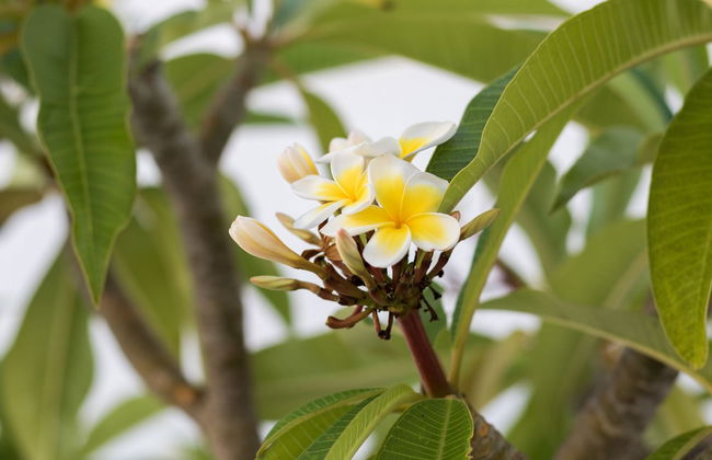 Summer Breeze - Foto 54