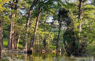 DH RIVER LODGE! Gather your herd here! - Foto 34