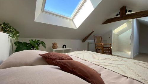 Duplex cinéma - centre historique Tours - Foto 4